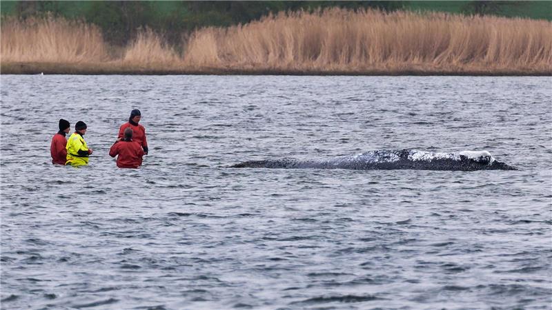 „Ich bin heute Morgen bei ihm gewesen, direkt an ihm dran“, sagte Till Backhaus.