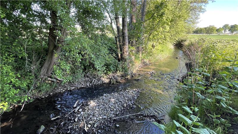 Hahausen bekommt Schutz vor Fluten: Wasser bleibt länger im Wald Idyllisch fließt er durch das Lutter-Becken: der Steimkerbach. Das kann sich nach Starkeregenereignissen ändern. Ein neues Projekt soll Teile des Wassers länger im Wald halten.