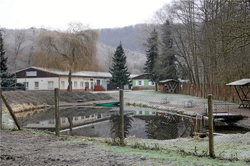 Fischerei Zordel in Altenbrak betreibt 42 Becken für Forellen Idyllisch im Tal gelegen, bietet der Forellenhof neben frischem Fisch zum Mitnehmen und Genießen auch die Möglichkeit zum Selberangeln. Das Wasser der Bode ist so gut, dass die Forellen hier bestens gedeihen.