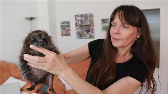 Igelmutter Silvia Hille mit einem ihrer Schützlinge.