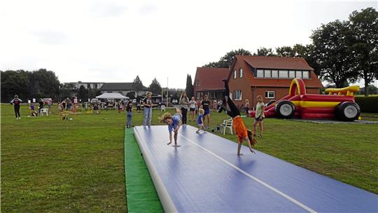 Ihre Turnübungen präsentieren mehrere Kinder in rasantem Tempo und zeigen ihre sportlichen Fertigkeiten.  Foto: Biener