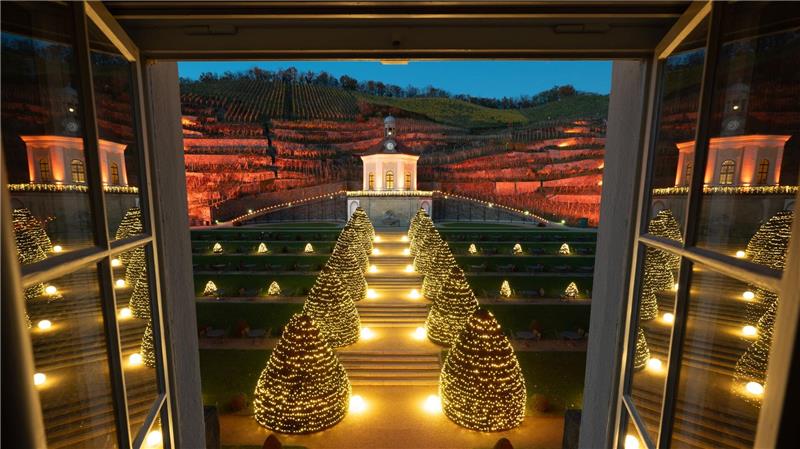 Illuminiert ist das Gelände des Sächsischen Staatsweingutes mit dem Belvedere bei einer Beleuchtungsprobe vor dem Start von „Wein & Licht auf Schloss Wackerbarth“. T