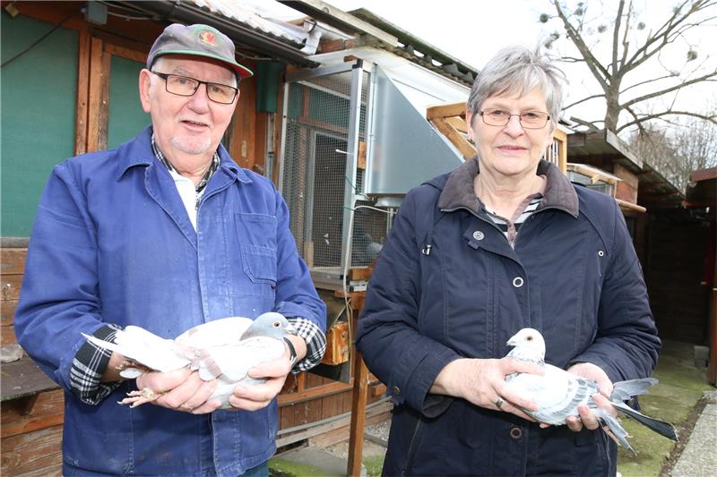 Ilona und Winfried Hettling aus Ostharingen teilen sich seit Jahrzehnten schon das tierische Hobby. Immer wieder züchten sie Tauben, die prämiert und ausgezeichnet werden. Fotos: Andrea Leifeld