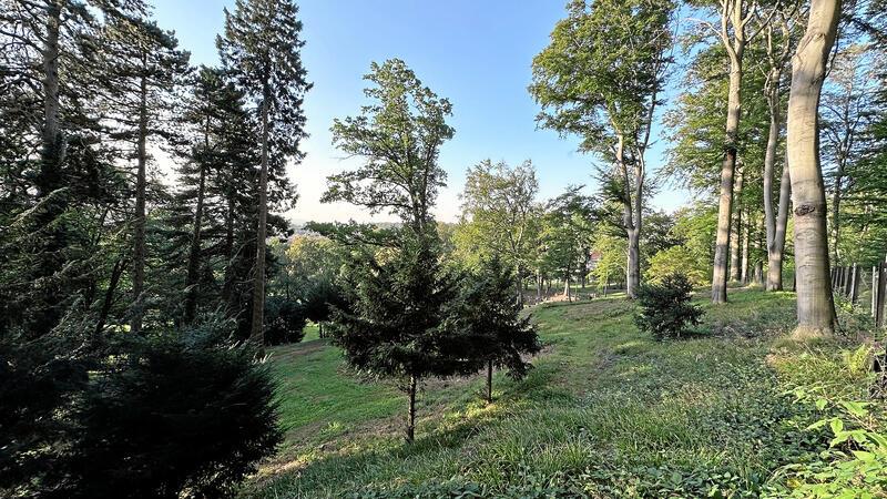 Im Bad Harzburger Lindenpark wird um jeden Baum gekämpft Im Bad Harzburger Lindenpark finden sich zahlreiche, meist weit über 100 Jahre alte Bäume. Nachdem hier mal ein Seniorenheim gebaut werden sollte, wurde über das Areal eine Veränderungssperre verhängt.