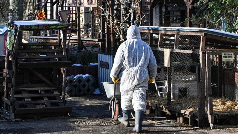 Keine weiteren Seuchenfälle - London verhängt Importverbot Im Bereich der Schutzzone müssen Mitarbeiter in gefährdeten Tierbetrieben viele Hygienemaßnahmen beachten (Archivbild).