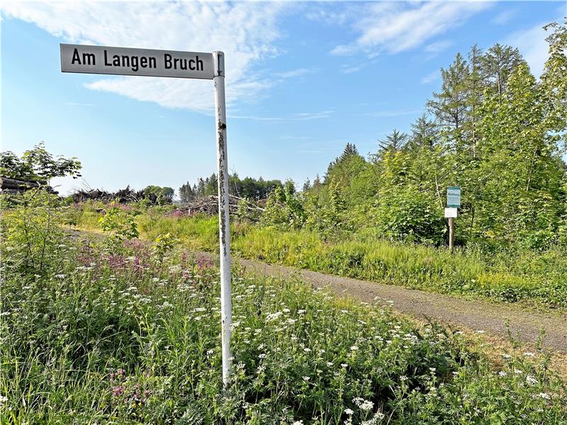 Bauantrag für Revugia in Braunlage in der Vorbereitung Im Bereich der Straße „Am langen Bruch“ sollen – Stand ursprünglicher Planung – ein Parkplatz und eine Gaststätte für das Millionen-Projekt namens Revugia entstehen. Foto: Eggers