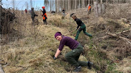 Im Bereich des Brunnenbachs unterhalb des Jugendwaldheims bringen die Frauen wie Sabine Trienke aus Nordrhein-Westfalen (vorn) und Julika Hallmann aus Leipzig (an der Hacke) die Setzlinge in der Nähe eines kleinen Brunnenbach-Zulaufs in die Erde.