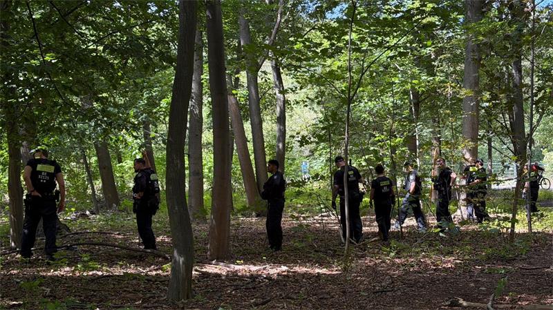 Im Berliner Tiergarten suchen Polizisten offenbar weitere Beweismittel zum Terroranschlag vom vergangenen Samstag. 