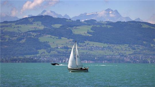 Im Bodensee sind zwei Leichen entdeckt worden.