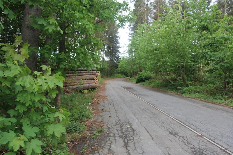 Neues Gebiet für Gewerbe und Wohnen in Braunlage Im Brunnenbachsweg, der Sackgasse bleiben und keinen Durchgangsverkehr haben soll, wollen die Volksbank Braunlage und das Architekturbüro Richter ein kleines Wohn- und ein Gewerbegebiet schaffen. Fotos: Eggers