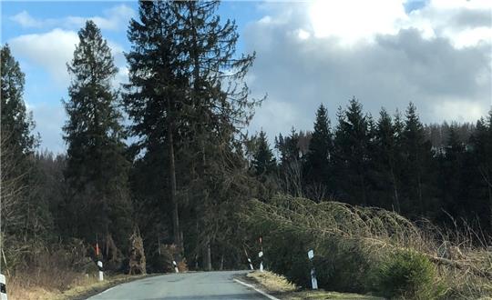 Im Februar dieses Jahres musste die Landesstraße 600 bei dem heftigen Wintersturm bereits schon einmal voll gesperrt werden. Jetzt will das Forstamt aus Gründen der Verkehrssicherungspflicht Bäume fällen, weshalb abermals gesperrt wird. Archivfoto: Eggers