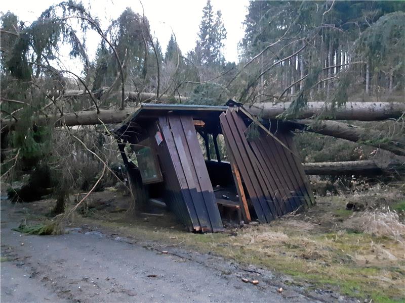 Im Februarsturm fallen Bäume auf die Hütte, die dadurch komplett zerstört wird (großes Bild). Fleißige Harzklub-Herren (linkes Bild) machen nun Platz für einen Neubau, den es aber erst im kommenden Jahr geben soll.  Fotos: Harzklub Bad Harzburg
