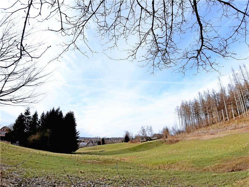 Oberharz verzeichnet deutliches Plus bei Übernachtungen Im Fokus der touristischen Aktionen für den Oberharz soll das Naturerlebnis liegen. Auch wenn mitunter fichtenfreie Flächen zunächst erschrecken, so verschaffen sie ganz neue Eindrücke. Foto: Potthast
