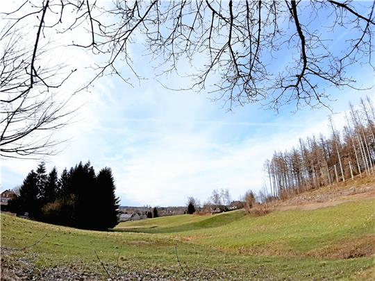 Im Fokus der touristischen Aktionen für den Oberharz soll das Naturerlebnis liegen. Auch wenn mitunter fichtenfreie Flächen zunächst erschrecken, so verschaffen sie ganz neue Eindrücke. Foto: Potthast
