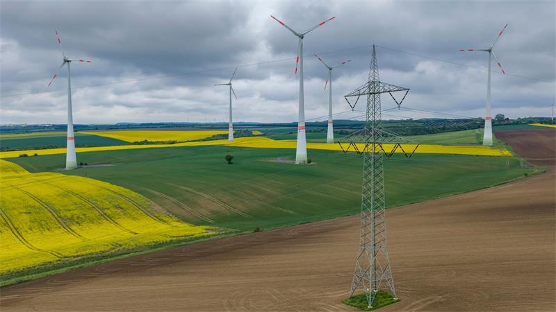Reiches umstrittene Energiereformen - das steckt drin Im Fokus stehen Netzengpass-Gebiete. (Symbolbild)