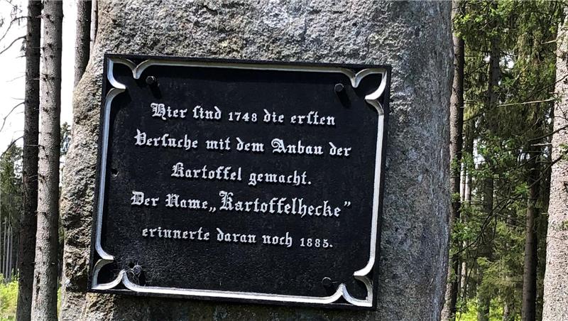 Das Foto zeigt einen Stein, an dem ein Schild befestigt ist.