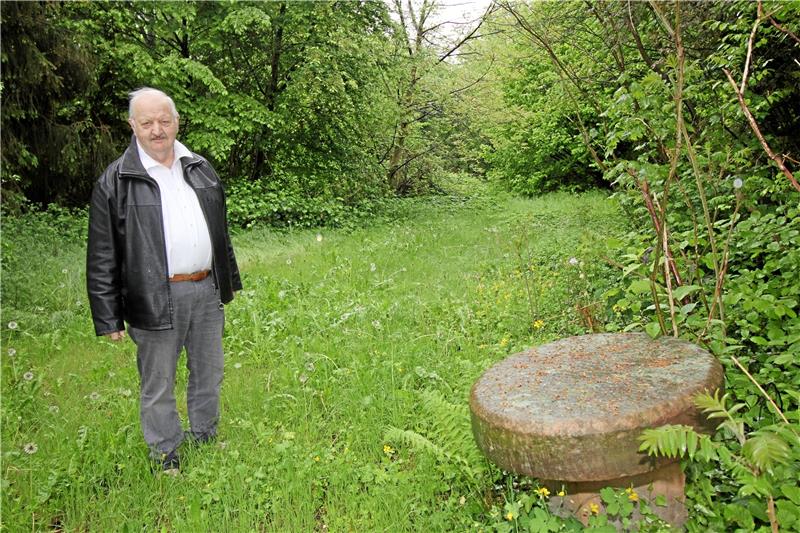 Im Garten des künftigen Klenze-Museums will Jochen Buchholz Angebote schaffen, die zusätzlich Besucher locken: Mitten im üppigen Grün soll ein Biergarten entstehen. Fotos: Kühlewind