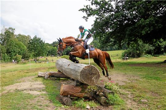 Im Geländeritt auf den Wiesen des Klostergutes Bündheim sind in jedem Jahr feste Hindernisse zu überspringen, die Reiter und Pferd alles abverlangen. Foto: Epping