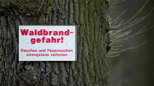 Im Harz gilt aktuell die zweithöchste Waldbrandgefahrenstufe. (Illustration)