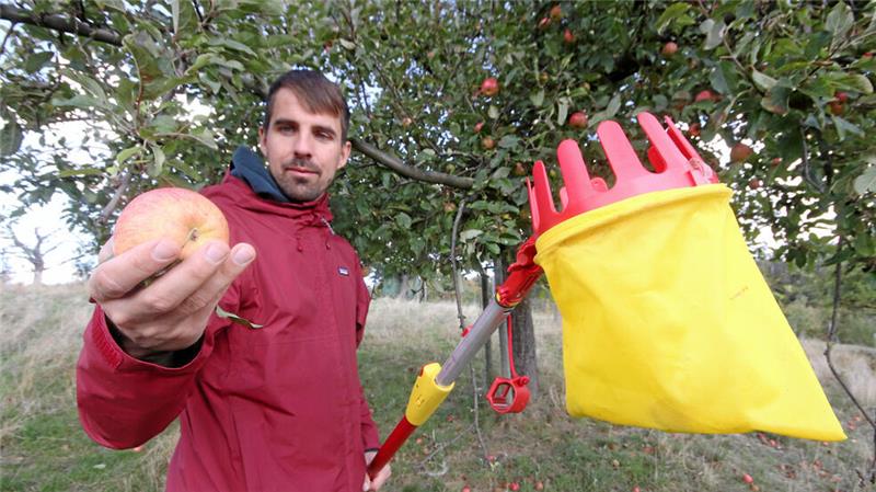 Hornburger Apfelfest: Neustart nach fünf Jahren Pause Im Hasenwinkelgrund, so heißt der Taleinschnitt, in dem „Willecke’s Lust“ liegt, dreht sich viel ums Obst: Der Nabu lädt hier zur Ernte auf seine Streuobstwiese ein.