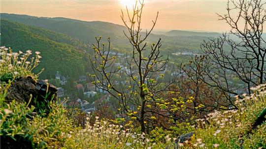 Im Herbst färbt sich der Harzer Wald bunt.