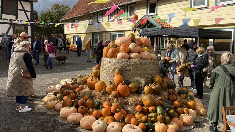 Auf dem Buritz-Hof in Westerode dreht sich alles um die Feldfrucht Im Hof können die Besucher des Festes die Kürbis-Pyramide erst bestaunen und sich dann ein passendes Exemplar aussuchen.