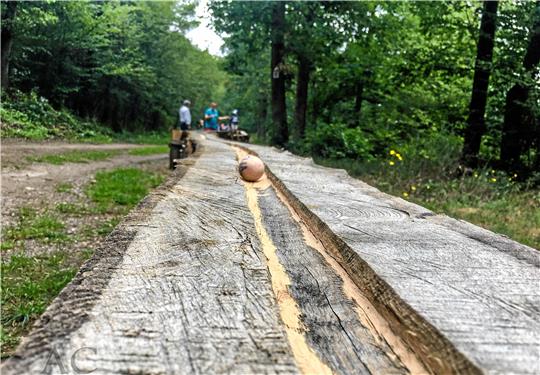 Im Hunsrück, genauer gesagt in Zilshausen, gibt es mit dem Dünnbach-Pfad bereits eine Kugelbahn, die bei Kindern und Familien sehr beliebt ist. Vielleicht entsteht eine ähnliche Kugelbahn schon bald in Bad Grund. Foto: aktiv-durch-das-leben.de
