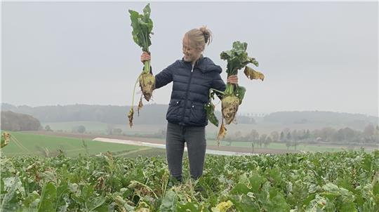 Im Jahr 2024 herrschen für die Rübe gute Wachstumsbedingungen. Die Gielderin Karoline Vorlop präsentiert zwei Prachtexemplare.