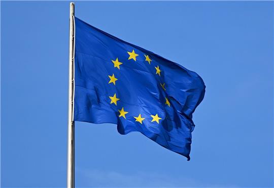 Im Juni findet die nächste Europawahl statt.