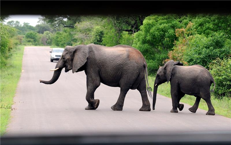 Deutscher Tourist bei Überfall in Südafrika getötet Im Kruger-Nationalpark in der Provinz Mpumalanga in Südafrika ist ein deutscher Tourist getötet worden.