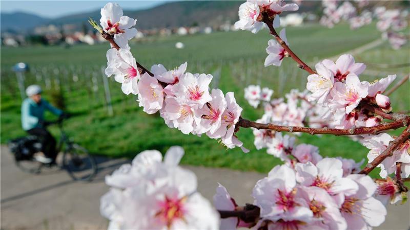 Im März lockte das Wetter bereits zu vielen Aktivitäten ins Freie. (Archivbild)