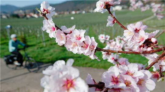 Im März lockte das Wetter bereits zu vielen Aktivitäten ins Freie. (Archivbild)