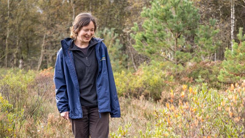 „Ich mag das Raue“ - Wie diese Frauen Moore retten sollen Im Moor wachsen unter anderem Gagelsträucher und Heide.