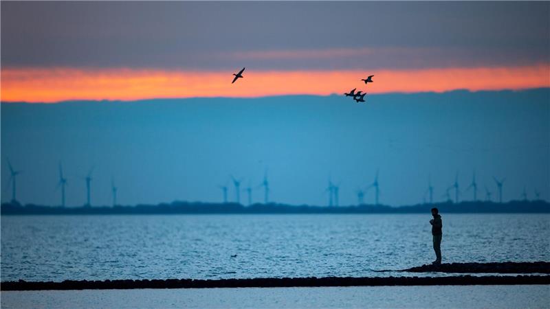 Im Nationalpark Niedersächsisches Wattenmeer beginnen bald die Zugvogeltage. (Archivbild)