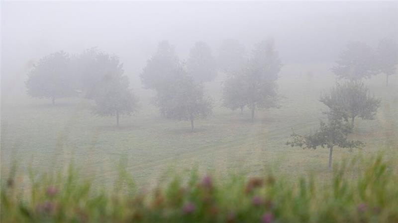 Nebelwetter in Niedersachsen und Bremen Im Norden wird es nebelig (Symbolbild).