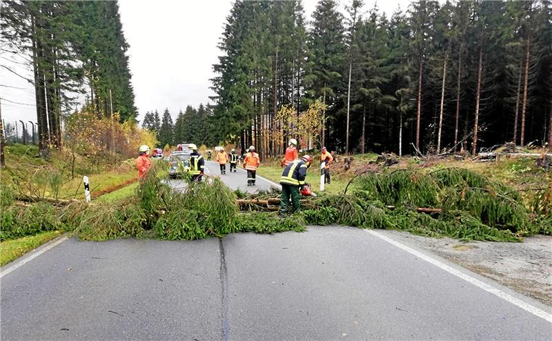 Im November 2020 stürzte ein Baum zwischen Altenau und Clausthal-Zellerfeld auf die Straße. Foto: Feuerwehr