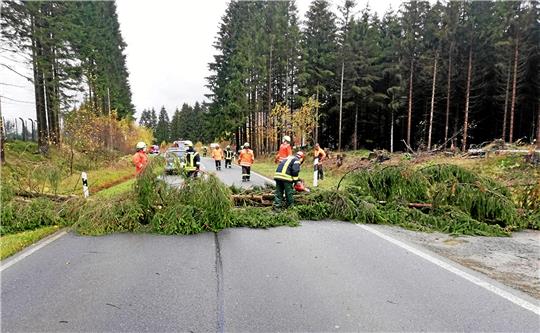 Im November 2020 stürzte ein Baum zwischen Altenau und Clausthal-Zellerfeld auf die Straße. Foto: Feuerwehr