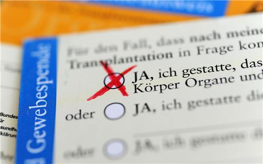 Im Organspendeausweises kann man aus fünf verschiedenen Optionen wählen.