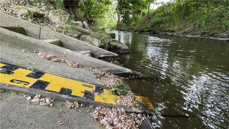 Neues Portal fasst Pegelstände im Flussgebiet Innerste zusammen Im Pegelportal des Hochwasserschutzverbands finden sich auch die Daten der NLWKN-Messstelle an der Neile flussbwärts von Neuwallmoden.