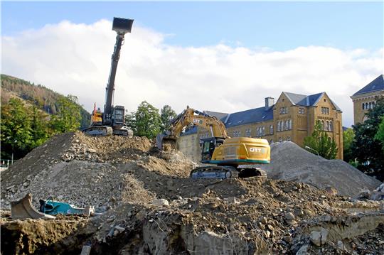 Im Pfalzquartier reißen Bagger die alten Gebäude ab. Als Nächstes soll eine Brechanlage das Restmaterial zerkleinern. Foto: Epping