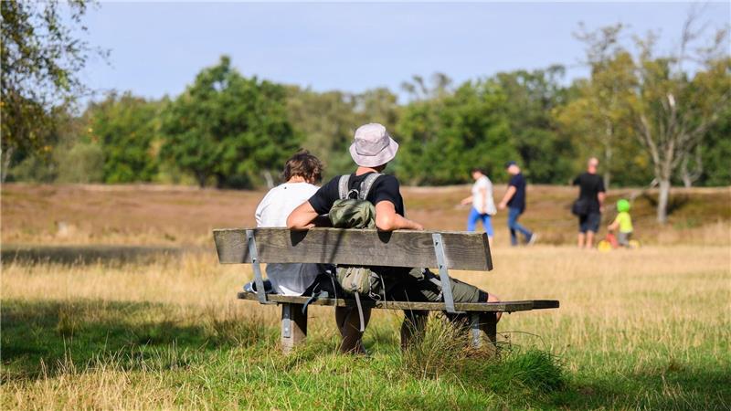 Im Pietzmoor in der Lüneburger Heide sollten Wanderer auf Schlangen achten.