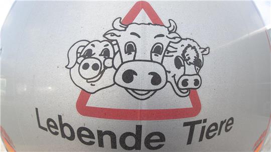 Im Prozess nach Tierschutzverstößen im früheren Schlachthof Bad gegen zwei Tierärzte wird das Verfahren voraussichtlich gegen Geldbußen eingestellt. (Symbolbild)