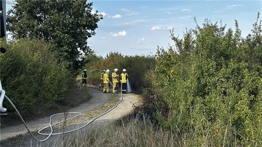Im Radauanger bricht ein Flächenbrand aus, die Feuerwehr löscht ihn.