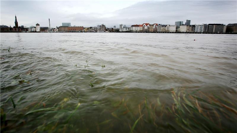 Im Rhein schwimmt mehr Müll als angenommen. (Archivbild).