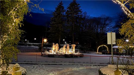 Im Rosengarten sind ab dem 26. November wieder weihnachtliche Holzfiguren zu sehen.