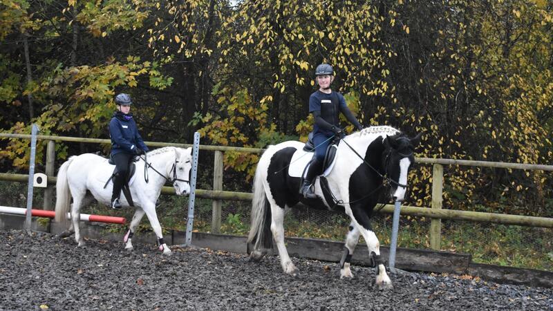 Reiterinnen absolvieren Abzeichen in Clausthal-Zellerfeld Im Schritt und Trab führen die Reiterinnen ihre Ponys durch einen Geschicklichkeitsparcours.
