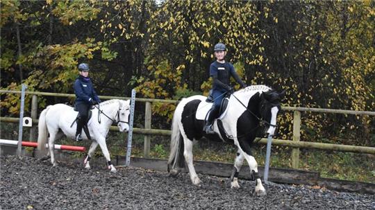 Im Schritt und Trab führen die Reiterinnen ihre Ponys durch einen Geschicklichkeitsparcours.