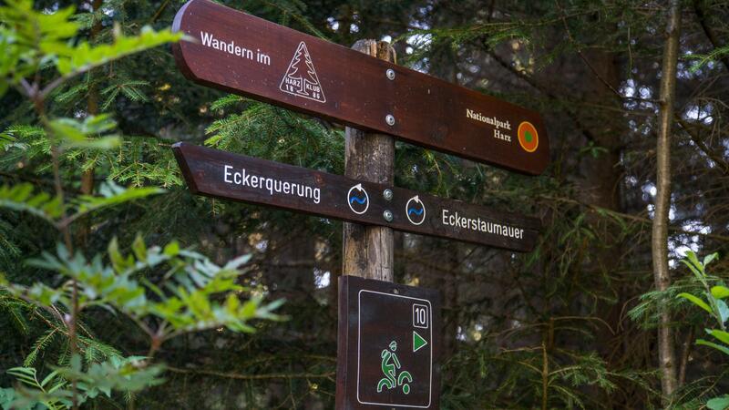 Im September geht es mit den Bad Harzburger Wanderführern wieder in die Natur – und dabei nicht nur in die Wälder der Kurstadt.