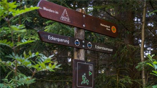 Im September geht es mit den Bad Harzburger Wanderführern wieder in die Natur – und dabei nicht nur in die Wälder der Kurstadt.