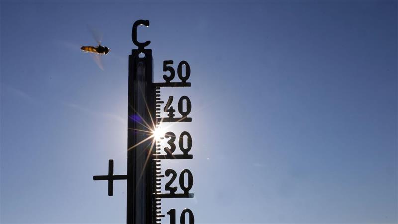 Im Sommer gab es teils Temperaturen über 40 Grad. (Symbolbild)